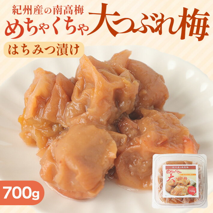 ڥޥ饽ݥ10!!̡  Ϥߤ 700g Ĥ֤ 㤯Ĥ֤   ʬ8% Ϥߤ  ߴ ߴ   ˤ ߼  ²λ ²λ  ץ쥼 ե ڻ   ֤