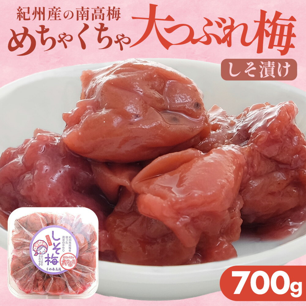 【大容量・送料無料】紀州南高梅 しそ梅 700g 大つぶれ めちゃくちゃ大つぶれ 訳あり お徳用 塩 ...