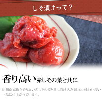 【しそ梅700gめちゃくちゃ大つぶれ】訳あり梅干し送料無料(北海道、沖縄¥500)紀州南高梅【1000円ポッキリ】【大感謝祭201512_