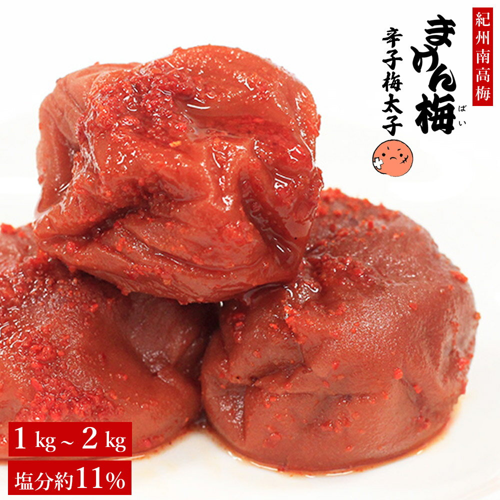 盐梅干 - 梅干し まけん梅（訳あり梅干し） 辛子梅太子 塩分約11% 紀州南高梅