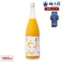 アルザス コニャック オレンジ 40度 1L 1000ml 送料無料(沖縄対象外)[ドーバー フランス リキュール デザート作り 料理作り お菓子作り]