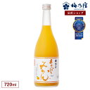 【公式】 梅乃宿 梅の宿 みかん酒 あらごしみかん 720ml メーカー直送 あらごしシリーズ 梅乃宿酒造 お酒 みかん リキュール ギフト 人気 お歳暮 御歳暮 内祝 お祝い 贈り物 プレゼント 土産 …