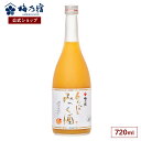 【公式】 梅乃宿 あらごしみっく酒 720ml 梅乃宿酒造 果実酒 お酒 リキュール 梅の宿 ギフト 人気 お祝い プレゼント お歳暮 敬老の日