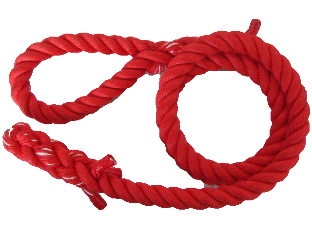 トレーニングロープ ターザンロープ カラー 登り綱 24mm　赤　標準アイ