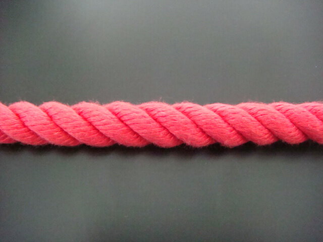 ロープ/切売り/カラーロープ/エステルカラーロープ　赤　12mm