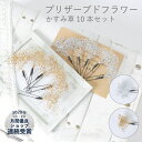 髪飾り かすみ草 | 花飾り 和装 ヘアアクセサリー ヘアーアクセサリー 卒業式 ショート 入学式 結婚式 披露宴 七五三 ウェディング ウエディング 髪飾り 振袖 着物 卒業袴 ヘッドドレス セットアップ かすみそう プリザーブドフラワー ヘアアレンジ カスミソウ