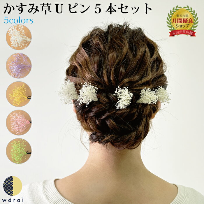 【あす楽】 髪飾り かすみ草 | 花 花飾り 和装 ヘアアクセサリー ヘアーアクセサリー 入学式式 ショート 卒業式 結婚式 披露宴 成人式 ウェディング ウエディング 振袖 着物 卒業袴 ヘッドドレス セットアップ かすみそう プリザーブドフラワー カスミソウ ヘアアレンジ