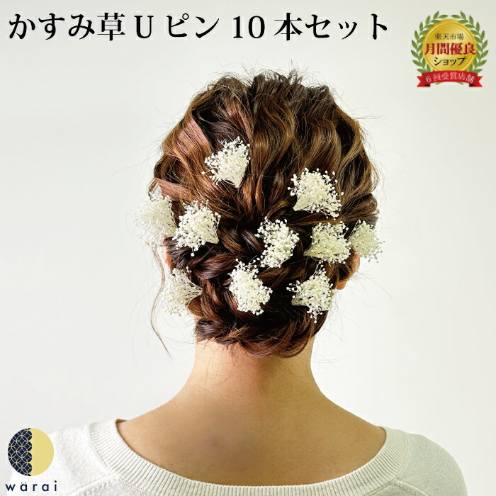 髪飾り かすみ草 成人式 花 花飾り 和装 ヘアアクセサリー ヘアーアクセサリー 入学式 ショート 卒業式 結婚式 披露宴 七五三 ウェディング 振袖 着物 卒業袴 ヘッドドレス かすみそう プリザーブドフラワー カスミソウ ヘアアレンジ 送料無料