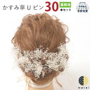 まとめ買い 髪飾り かすみ草 | 成人式 花 花飾り 和装 ヘアアクセサリー ヘアーアクセサリー 入学式 卒業式 結婚式 披露宴 七五三 ウェディング 髪飾り 打掛 浴衣 振袖 着物 卒業袴 ヘッドドレス かすみそう プリザーブドフラワー カスミソウ ヘアアレンジ