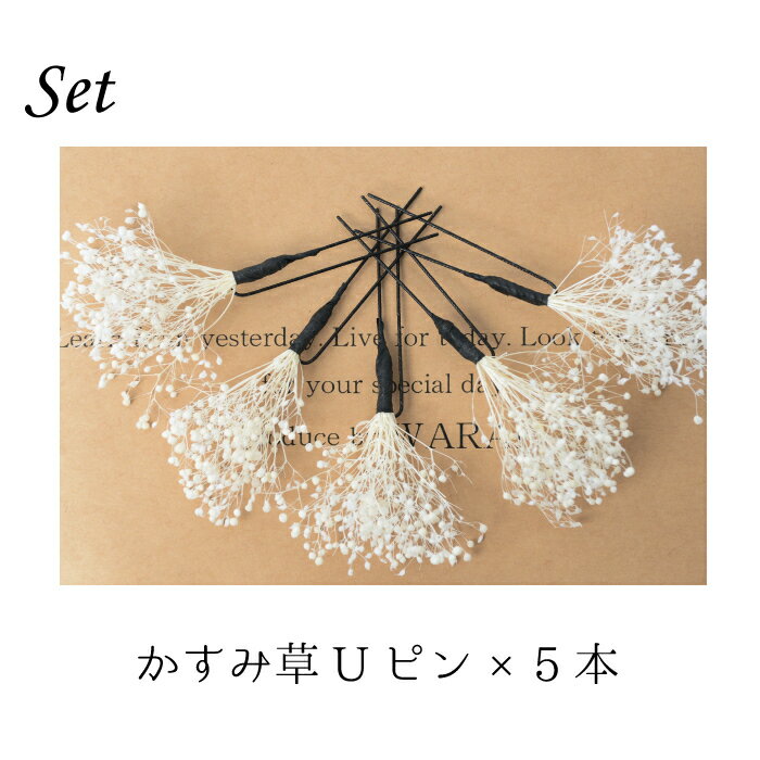 髪飾り かすみ草 | 七五三 ピアノ発表会 入学式 花 花飾り 和装 ヘアアクセサリー ヘアーアクセサリー 卒業式 結婚式 披露宴 ウェディング 振袖 着物 卒業袴 ヘッドドレス かすみそう プリザーブドフラワー カスミソウ ヘアアレンジ 送料無料