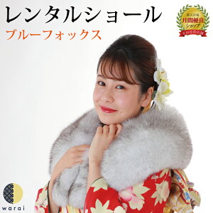 【特別価格】 レンタル ショール ストール 成人式 ブルーフォックス フリーサイズ 振袖 訪問着 礼装 色留袖 和装 履物 ドレス 着物 フォーマル 婚礼 貸衣装 結婚式 パーティー 入学式 卒業式 ゲストドレス 往復送料無料キャンペーン