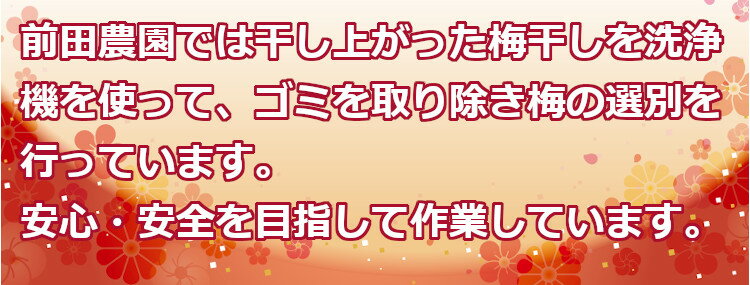 �����ꡪ��������ߤ����Ҥ� �Ĥ֤��� 1kg