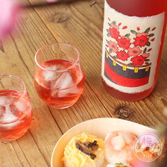 https://thumbnail.image.rakuten.co.jp/@0_mall/umeshu/cabinet/item01/1002-23s_01.jpg