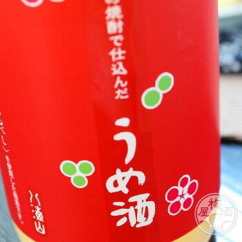 八海山の焼酎で仕込んだ梅酒 720ml【八海醸造／新潟県】 umeshu-10000821 梅酒屋 サンプル画像3