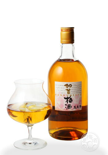 萬歳楽 加賀梅酒 720ml 梅酒 ギフト 【小堀酒造店／石川県】 umeshu-10000587 梅酒屋 サンプル画像2