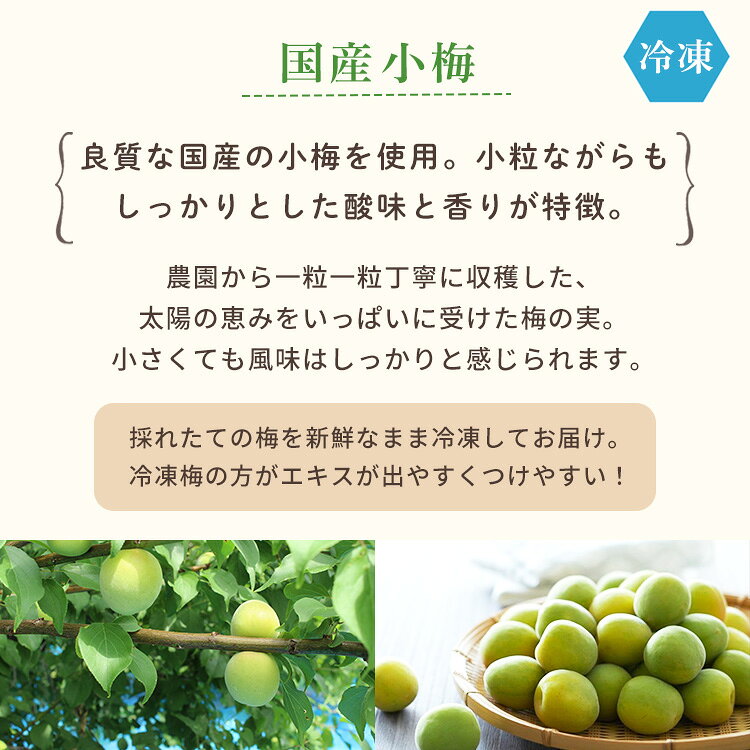 《冷凍》小梅 1kg 梅酒作り用の梅の実 梅ジュースにもオススメ！梅の実 梅酒 梅 青...