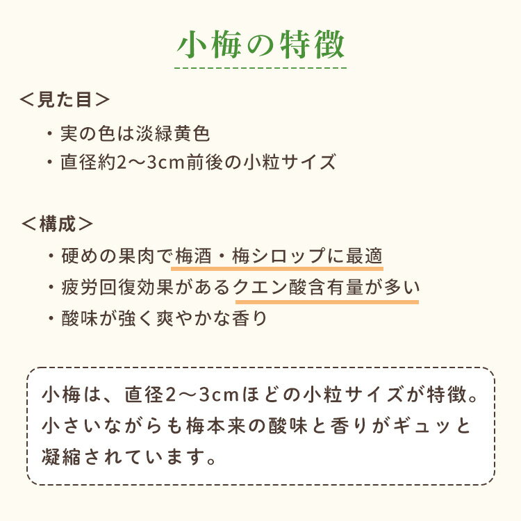 ������վ��� 1kg �߼����Ѥ��ߤμ� �ߥ��塼���ˤ⥪�����ᡪ�ߤμ� �߼� �� ���� �߼���� �߼��� ����ľ�� ñ�ʡ������ء�