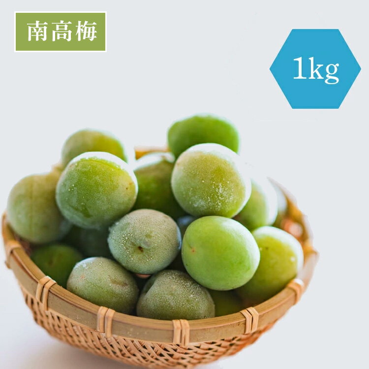 《冷凍》梅酒作り用の梅の実 1kg 梅ジュースにもオススメ！梅の実 梅酒 梅 青梅 南高梅 梅酒の梅 梅酒用 産地直送 和歌山 紀州梅 単品【冷凍便】のサムネイル