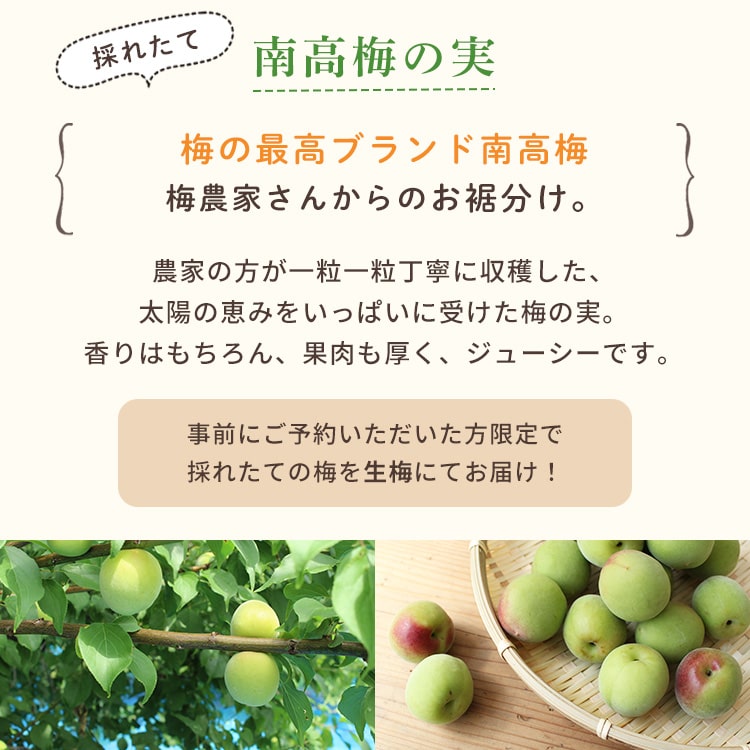 サンプル画像2