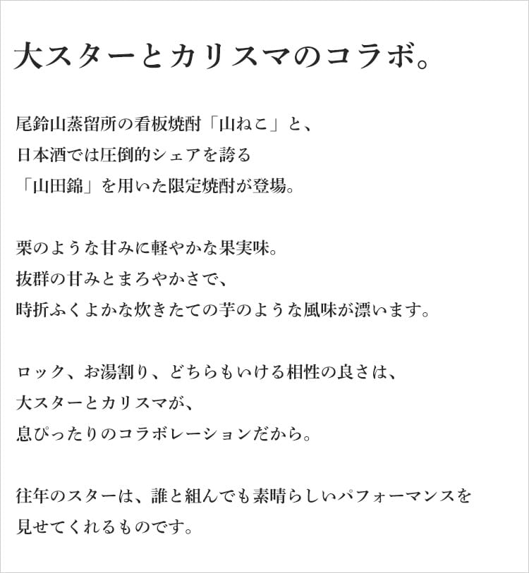 サンプル画像3