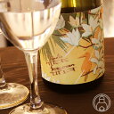【8月5日限定送料半額!】【予約受付!8/10以降出荷】sunny cream(サニークリーム) 1800ml【国分酒造/鹿児島県】【焼酎】※お一人様1本限り