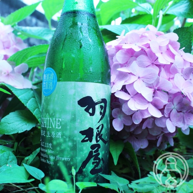 羽根屋 SHINE(シャイン) 13度無濾過生原酒バージョン 720ml【冨美菊酒造／富山県】【要冷蔵】【日本酒】