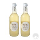 しゅわしゅわ木内梅酒 300ml×2本セット【木内酒造/茨城県】