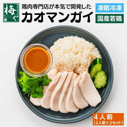 カオマンガイ4人前セット 簡単調理 鶏 むね肉 冷凍 ご飯付き ピリ辛 ジャスミンライス タイ料理 パンプアップチキン 海南鶏飯 ハイナンチキンライス 国産鶏肉 サラダチキン アジア 電子レンジ ヘルシー 横浜