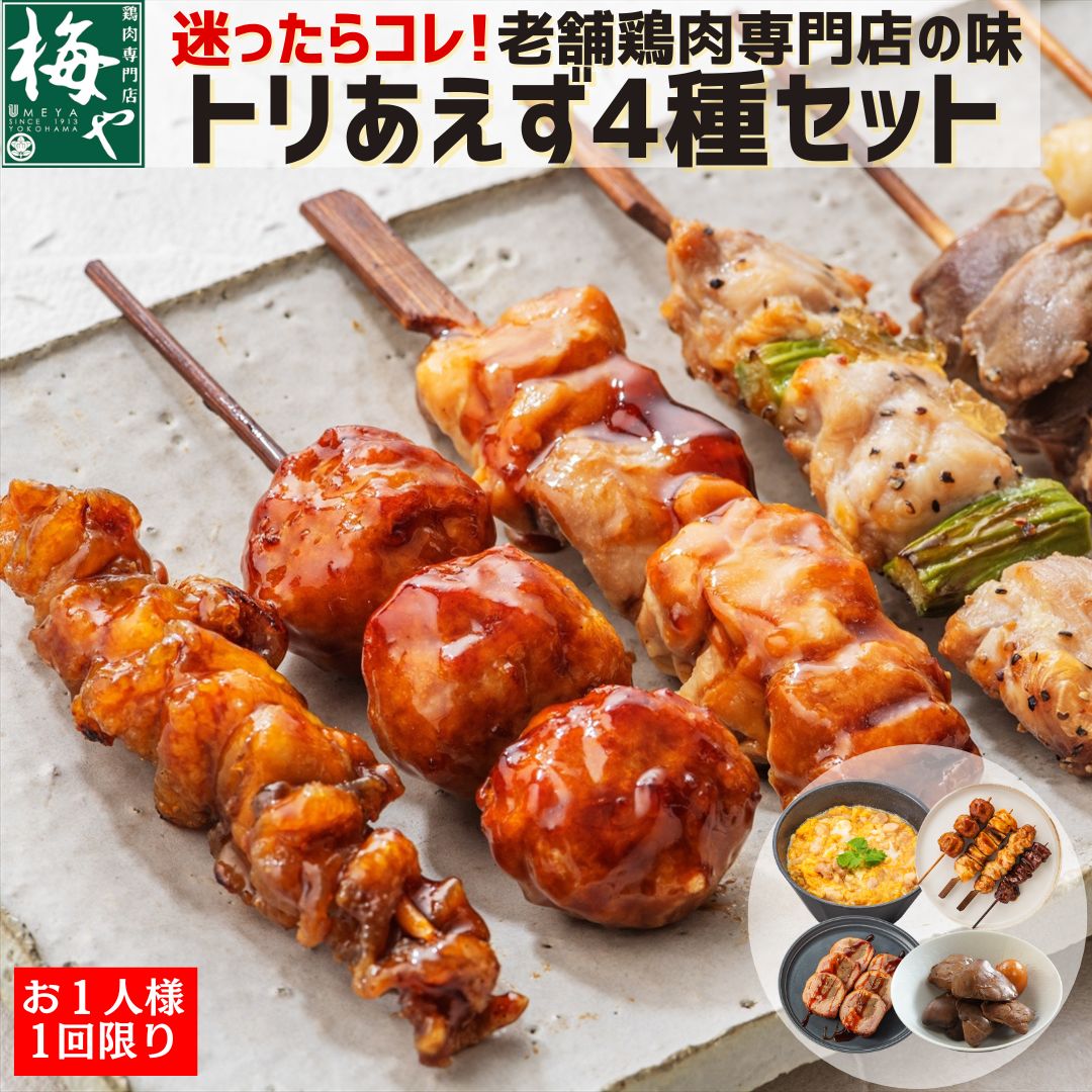 ★お一人様1回限り★TORIFRO トリあえず4種 セット 冷凍 惣菜 鳥もつ煮 たれ 焼き鳥 大山どり 親子丼 ごぼう巻き 電子レンジ 簡単 国産鶏 家族 夕食 おかず 時短 お弁当 お試し 晩ごはん 常備菜 お取り寄せ 簡単調理 神奈川 横浜 梅や 凍眠 湯せん 串