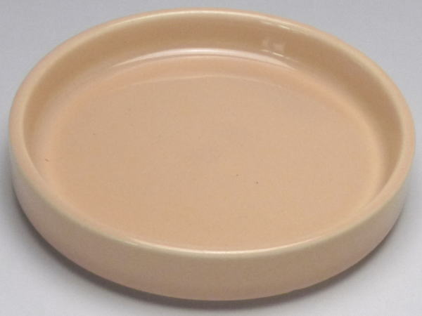 ��B���ʡۥѥ��ƥ륪��󥸡���Ω������[���ʻȤ��ο���]