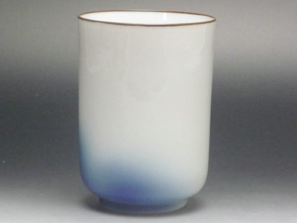 ��B���ʡۿ��ġ�Ĺ���ݡ�[���ʻȤ��ο���]