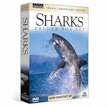 【中古】Tan: Sharks [DVD]