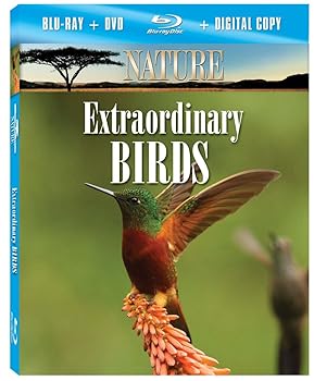 【中古】Nature: Extraordinary Birds [Blu-ray]