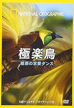 【中古】ナショナル ジオグラフィック 極楽鳥 魅惑の求愛ダンス [DVD]