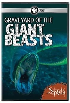 【中古】Secrets of the Dead: Graveyard of Giant Beasts [DVD] [Import]【メーカー名】【メーカー型番】【ブランド名】PBS ドキュメンタリー 【商品説明】Secrets of the Dead: Graveyard of Giant Beasts [DVD] [Import]当店では初期不良に限り、商品到着から7日間は返品を 受付けております。お問い合わせ・メールにて不具合詳細をご連絡ください。他モールとの併売品の為、完売の際はキャンセルご連絡させて頂きます。中古品の商品タイトルに「限定」「初回」「保証」「DLコード」などの表記がありましても、特典・付属品・帯・保証等は付いておりません。電子辞書、コンパクトオーディオプレーヤー等のイヤホンは写真にありましても衛生上、基本お付けしておりません。※未使用品は除く品名に【import】【輸入】【北米】【海外】等の国内商品でないと把握できる表記商品について国内のDVDプレイヤー、ゲーム機で稼働しない場合がございます。予めご了承の上、購入ください。掲載と付属品が異なる場合は確認のご連絡をさせて頂きます。ご注文からお届けまで1、ご注文⇒ご注文は24時間受け付けております。2、注文確認⇒ご注文後、当店から注文確認メールを送信します。3、お届けまで3〜10営業日程度とお考えください。4、入金確認⇒前払い決済をご選択の場合、ご入金確認後、配送手配を致します。5、出荷⇒配送準備が整い次第、出荷致します。配送業者、追跡番号等の詳細をメール送信致します。6、到着⇒出荷後、1〜3日後に商品が到着します。　※離島、北海道、九州、沖縄は遅れる場合がございます。予めご了承下さい。お電話でのお問合せは少人数で運営の為受け付けておりませんので、お問い合わせ・メールにてお願い致します。営業時間　月〜金　11:00〜18:00★お客様都合によるご注文後のキャンセル・返品はお受けしておりませんのでご了承ください。0
