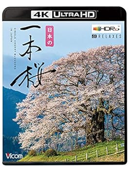 【中古】日本の一本桜 【4K・HDR】【4K Ultra HDブルーレイ】 [Ultra HD Blu-ray]