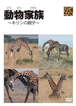 【中古】動物家族~アフリカ編~キリン [DVD]
