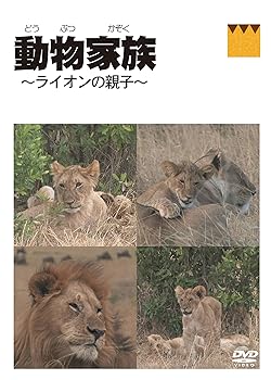 【中古】動物家族~アフリカ編~ライオン [DVD]