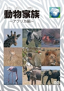【中古】動物家族~アフリカ編~DVDBOX