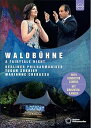 【中古】ヴァルトビューネ・コンサート 2019 (Waldbuhne 2019 - A Fairytale Night / Berliner Philharmo...