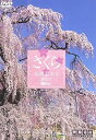 【中古】シンフォレストDVD さくら 名所名木を訪ねて