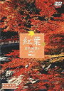 【中古】シンフォレストDVD 紅葉 名所絶景を訪ねて/映像遺産・ジャパントリビュート