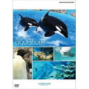 【中古】An Aquarium −水族館 〜名古屋港水族館〜 DVD【NHKスクエア限定商品】