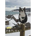 【中古】【NHKスクエア限定】岩合光昭の世界ネコ歩き 能登 DVD