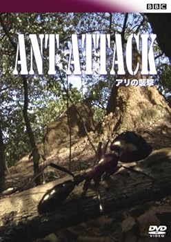 【中古】BBC アリの襲撃 [DVD]