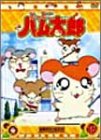 【中古】DVD とっとこハム太郎(16)