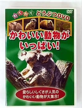 【中古】かわいいどうぶつがいっぱい! [DVD]