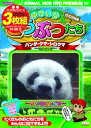 【中古】ゆかいなどうぶつたち パンダ・クマ・シロクマ DVD3枚組