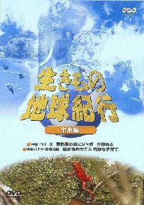 【中古】生きもの地球紀行 中米編 [DVD]【メーカー名】【メーカー型番】【ブランド名】株式会社ソニー・ピクチャーズ エンタテインメント ドキュメンタリー, ホビー・実用 【商品説明】生きもの地球紀行 中米編 [DVD]当店では初期不良に限り、商品到着から7日間は返品を 受付けております。お問い合わせ・メールにて不具合詳細をご連絡ください。他モールとの併売品の為、完売の際はキャンセルご連絡させて頂きます。中古品の商品タイトルに「限定」「初回」「保証」「DLコード」などの表記がありましても、特典・付属品・帯・保証等は付いておりません。電子辞書、コンパクトオーディオプレーヤー等のイヤホンは写真にありましても衛生上、基本お付けしておりません。※未使用品は除く品名に【import】【輸入】【北米】【海外】等の国内商品でないと把握できる表記商品について国内のDVDプレイヤー、ゲーム機で稼働しない場合がございます。予めご了承の上、購入ください。掲載と付属品が異なる場合は確認のご連絡をさせて頂きます。ご注文からお届けまで1、ご注文⇒ご注文は24時間受け付けております。2、注文確認⇒ご注文後、当店から注文確認メールを送信します。3、お届けまで3〜10営業日程度とお考えください。4、入金確認⇒前払い決済をご選択の場合、ご入金確認後、配送手配を致します。5、出荷⇒配送準備が整い次第、出荷致します。配送業者、追跡番号等の詳細をメール送信致します。6、到着⇒出荷後、1〜3日後に商品が到着します。　※離島、北海道、九州、沖縄は遅れる場合がございます。予めご了承下さい。お電話でのお問合せは少人数で運営の為受け付けておりませんので、お問い合わせ・メールにてお願い致します。営業時間　月〜金　11:00〜18:00★お客様都合によるご注文後のキャンセル・返品はお受けしておりませんのでご了承ください。0