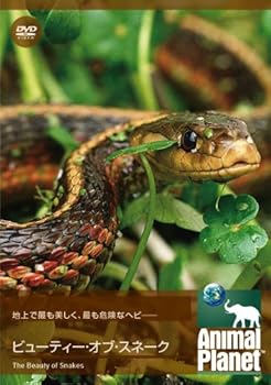 【中古】アニマルプラネット ビューティー・オブ・スネーク [DVD]【メーカー名】【メーカー型番】【ブランド名】【商品説明】アニマルプラネット ビューティー・オブ・スネーク [DVD]当店では初期不良に限り、商品到着から7日間は返品を 受付けております。お問い合わせ・メールにて不具合詳細をご連絡ください。他モールとの併売品の為、完売の際はキャンセルご連絡させて頂きます。中古品の商品タイトルに「限定」「初回」「保証」「DLコード」などの表記がありましても、特典・付属品・帯・保証等は付いておりません。電子辞書、コンパクトオーディオプレーヤー等のイヤホンは写真にありましても衛生上、基本お付けしておりません。※未使用品は除く品名に【import】【輸入】【北米】【海外】等の国内商品でないと把握できる表記商品について国内のDVDプレイヤー、ゲーム機で稼働しない場合がございます。予めご了承の上、購入ください。掲載と付属品が異なる場合は確認のご連絡をさせて頂きます。ご注文からお届けまで1、ご注文⇒ご注文は24時間受け付けております。2、注文確認⇒ご注文後、当店から注文確認メールを送信します。3、お届けまで3〜10営業日程度とお考えください。4、入金確認⇒前払い決済をご選択の場合、ご入金確認後、配送手配を致します。5、出荷⇒配送準備が整い次第、出荷致します。配送業者、追跡番号等の詳細をメール送信致します。6、到着⇒出荷後、1〜3日後に商品が到着します。　※離島、北海道、九州、沖縄は遅れる場合がございます。予めご了承下さい。お電話でのお問合せは少人数で運営の為受け付けておりませんので、お問い合わせ・メールにてお願い致します。営業時間　月〜金　11:00〜18:00★お客様都合によるご注文後のキャンセル・返品はお受けしておりませんのでご了承ください。0